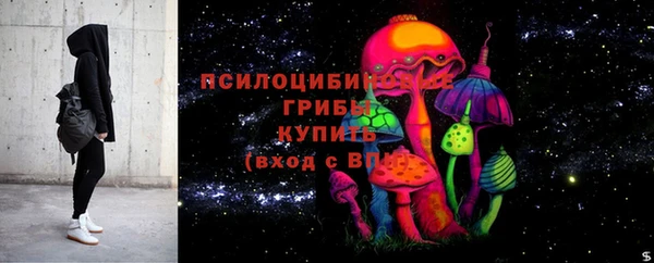 дурь Надым