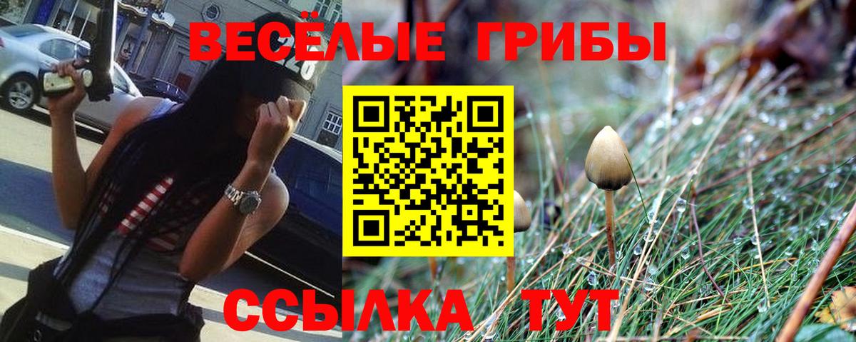 Галлюциногенные грибы мухоморы Новодвинск